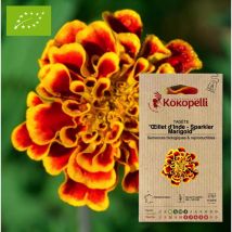 Tagète - Œillet D'Inde Sparkler Marigold- Graines Bio À Semer
