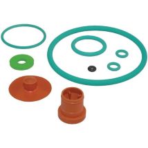 Set Guarnizioni Birchmeier 11614802sbbir