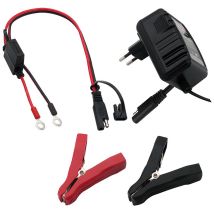 Victory - Caricabatterie Per Batterie Al Piombo Per Auto E Moto 6v/12v 0,75a Con Connettori Ad Occhiello E Pinze A Coccodrillo