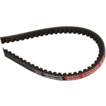 Cinghia Trapezoidale 9,7x825lw Din7753 As-motor E04557asm
