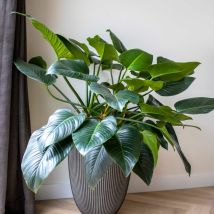 Capi Vase Élégant Groove 46x58 Cm Anthracite 445501