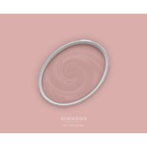 Wandfarbe Rosa Matt 2,5L – Lösungsmittelfrei – Hochdeckend – Für Raufasertapeten, Gipskarton, Beton – Hergestellt in Deutschland