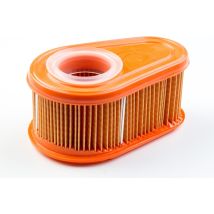 Filtro Aria Originale Briggs And Stratton Ineasicer 792038