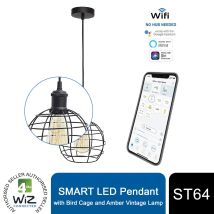 4lite - Wiz Pendant With Bird Cage And St64 Amber Vintage Lamp
