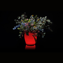 The Joouly Bowl L 3in1 Led-beleuchteter Getränkekühler Mit Bluetooth-lautsprecher