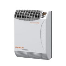 Robur - Kaminofen Gasheizkörper Modell Calorio 52m Modulierendes Methan