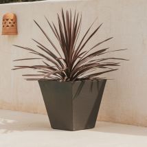 Newgarden Be Happy! - Camomila Rústica Macetero Cuadrado De Interior Y Exterior Para Plantas Y Flores Muy Resistente Al Paso Del Tiempo. Hecho De 