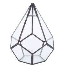 Stilvolle Geometrische Form Blumentopf Glas Pflanze Pflanzer Sukkulenten Pflanzen Behlter Dekoration