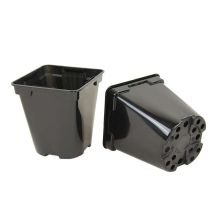 Pot Rond Carré Pour Semis Et Commercialisation (carton) - X Contenance 0,5 Litre