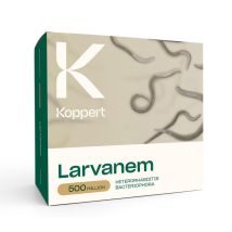 Koppert - Larvanem 500 Milioni - Heterorhabditis Bacteriophora Per 1000 M²