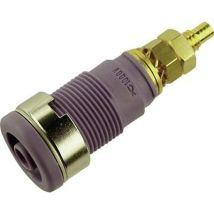 Sks Hirschmann Seb 2600 G M4 Presa Di Sicurezza Da Laboratorio Presa Verticale Ø Perno: 4 Mm Violetto 1 Pz.