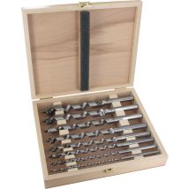 Set Di Punte Per Serpenti D.6,8,10,12,14,16,18,20mm Lunghezza Utile 160mm Esagonale