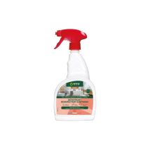 Desinfectante desincrustante para aparatos sanitarios – 750 ml