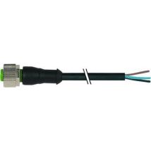Murrelektronik M12 Anschlussstecker Weiblich 3-polig 1,50 M Kabel