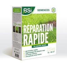 Bsi Rasensamen Reparatur Schnell 2,5 Kg