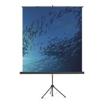 Magnetoplan Stativ Leinwand Standard, 1500 X 1500 Mm