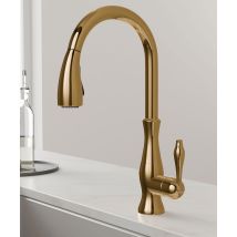 Lookshop - Modern Kitchen Mixer With Hand Shower And Extractable Golden Hose