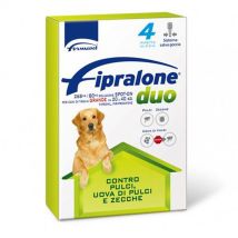 Vebi - Formevet Dog Fipralone Duo 20-40 Kg - Formevet Dog Fipralone Duo 20-40 Kg - Confezione Da 4 Pipette