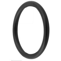 Zubehoer Isiflo O-ring 195 16mm