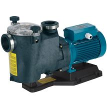 Pompa Da Piscina Mpcm 21/a Con Prefiltro Monofase 0,55kw Resistente Alla Corrosione Per La Filtrazione Dell'acqua Autoadescante - Calpeda