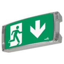 Ceag Notlichtsysteme Led-einzelbatterie-leuchte M.autom. Funkt.test Atlanticled Scgline+