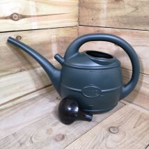 Ward - 5l Garden Watering Can With Rose - Green