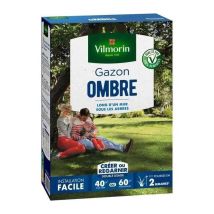 Shadow Lawn Seeds, Per 40 M2, 1 Kg - Vilmorin