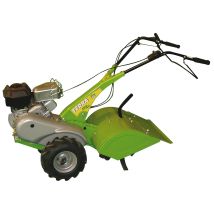 Greencat - Semovent Mopper Mit Motor Mother 5,5 Ps Getriebe Mit Grüner Katze Terra Umgekehrt