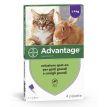 Advantage 80 Solution Pesticide Localisée Pour Chats De Plus De 4 Kg 4 Pipettes