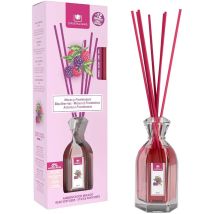 Ambientador Mikado Moras y Frambuesas 90 ml – 0% Alcohol – Fragancia Duradera – Fabricado en España