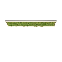 Leuchtendirekt Moos LED Deckenleuchte 1000x250mm 25W 2850lm 3000K Aluminium Außenbeleuchtung