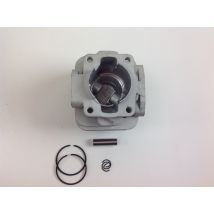 Kolben-zylinder-segmente Tas Bürstenmäher Bg 328 Zaino Motor 017967
