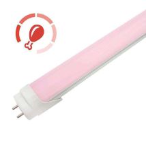 Tubo A Led Carnico Pink T8 10w 6cm Profresh 1070115