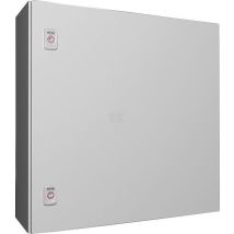 Coffret électrique nu – RITTAL – 600 mm x 600 mm x 210 mm – IP66, Acier, 1 porte, 2 serrures