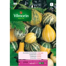 Vilmorin - Semillas De Calabacitas Variadas Flores S-1, 3 Gr