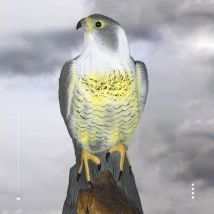 Junjun - Gabrielle Falke, Vogelabwehr-köder, Realistische Farbgebung, Beige, Einheitsgröße
