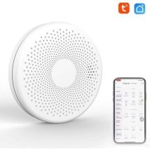 Détecteur De Fumée Et De Monoxyde De Carbone Intelligent - Wifi 2 En 1 - Co Détecteur De Son De Gaz - Fonction D'Alarme De Lumière Stroboscopique