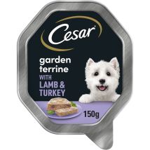 Garden Terrine Wet Dog Food With Juicy Lamb And Turkey - 730497 - Cesar