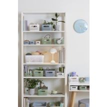 Cestino Portaoggetti Smartstore Essence M Capacità 5,5 Litri