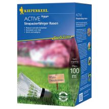 Prato Resistente 2 Kg Profi-Active Line – 20 g/m² – Kiepenkerl