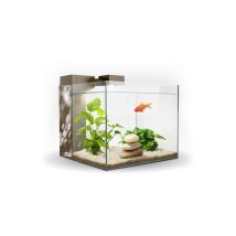 Acuario Zeneo 30 Eclat