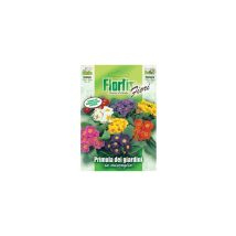 Primula Dei Giardini Mix – In busta pronto per la semina – Giardino e piscine – 4351166