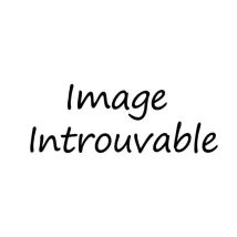 Campingaz 3 in 1 Reinigungsbürste – Schwarz – Metall, Nylon, Kunststoff, Messing – 260mm, 90mm, 80mm