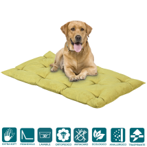Evergreenweb Materassi&beds - Evergreenweb - Letto Per Cani 65x85 Alto 8 Cm Lavabile Materasso Multiuso Per Animali Domestici Cuscino Ortopedico In 