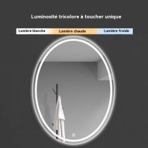 Miroir De Salle De Bain Ovale 60x40cm Étanche 3 Couleurs Lumière Avec Interrupteur Tactile