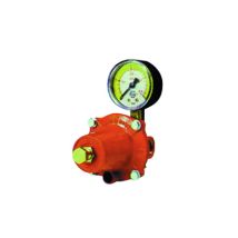 Regolatore Gpl Di Alta Pressione Con Manometro Mod. Apz250 Kg. / H 30