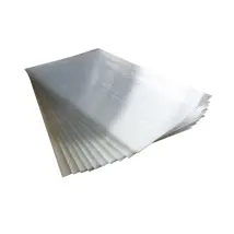 Lastra Di Ricambio Per Carport Auto Eurogarden In Policarbonato 155x94x0,4 Cm
