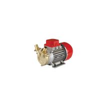 Elettropompa Travaso Gasolio Marina 20 Rover