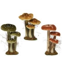 Conjunto 3 Setas sobre Musgo 14x18x26cm – Multicolor – Decoración Natural para el Hogar