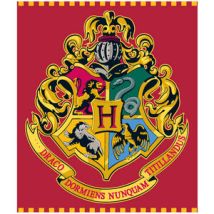 Manta Hogwarts Harry Potter Premium Coralina